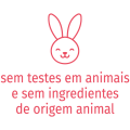 animal-coral